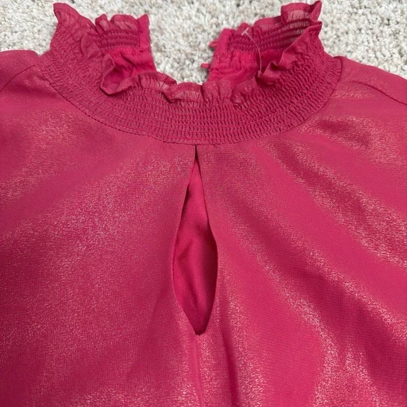 Nanette Lepore Elegant Pink Women’s Dress. NWT. Size 2 - Picture 5 of 5